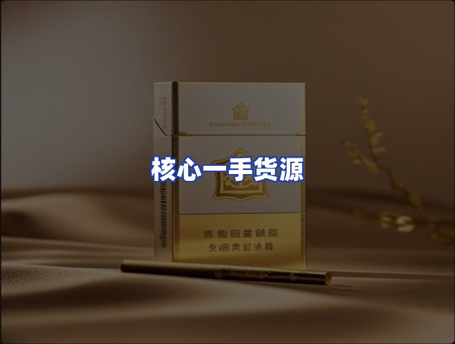 专业团队